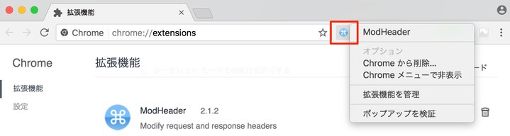 Akamai設定の検証やデバッグ方法（Chrome編）